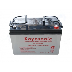 Akumulator żelowy Koyosonic NPG120 12V 120Ah