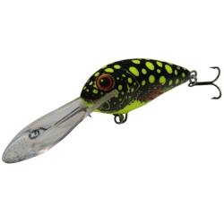 Salmo/Butcher/BeSdr1