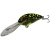 Salmo/Butcher/BeSdr1