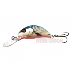 Wobler Salmo Hornet H2S DB