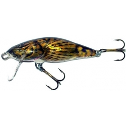 Wobler Salmo Bullhead BD6F-BD