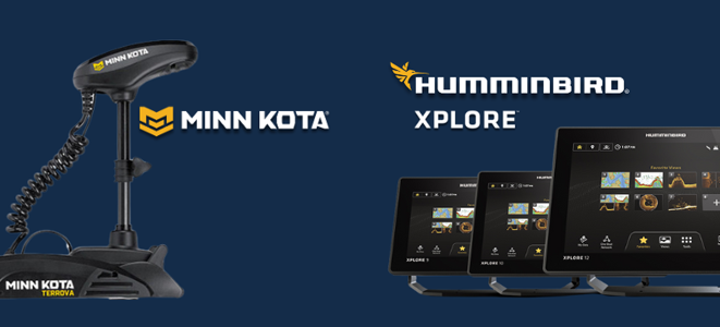 Minnkota