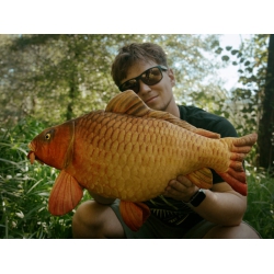 Delphin CARPY Pluszowy Karp 60 cm