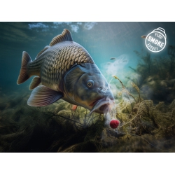 Przynęta D SNAX SHELL 12mm/30g Ser-wątroba/wafters/rozpuszczalny