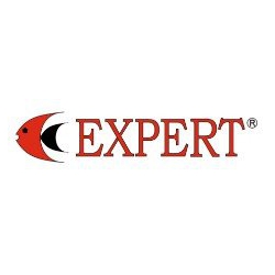 Expert