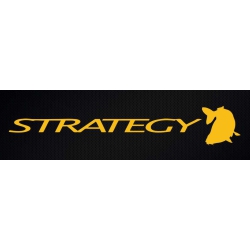 Strategy
