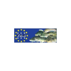 Yad