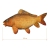 Delphin CARPY Pluszowy Karp 60 cm
